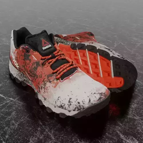 REEBOK 3D SHOES - H20DRAIN Low-poly 3D model