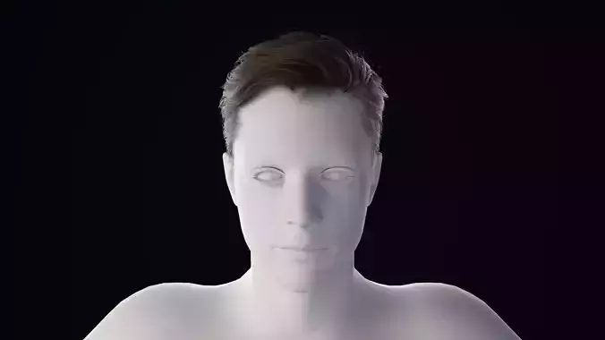 Realistic Male Hair Low-poly 3D model