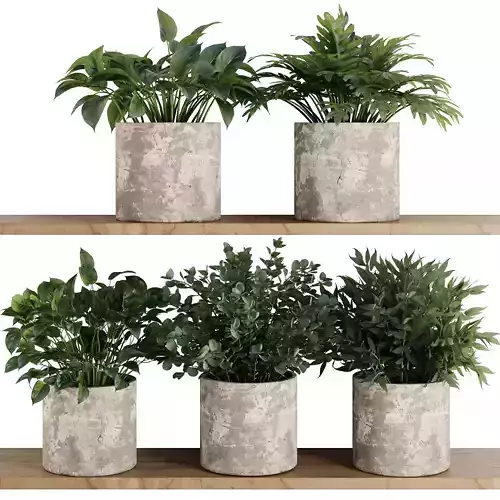 Plants on Shelf SetV5 3D model