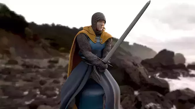 Sentinel of the Steel The Sword-Wielding Knight