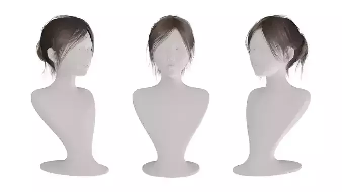 Realistic Woman Bun Hair Style