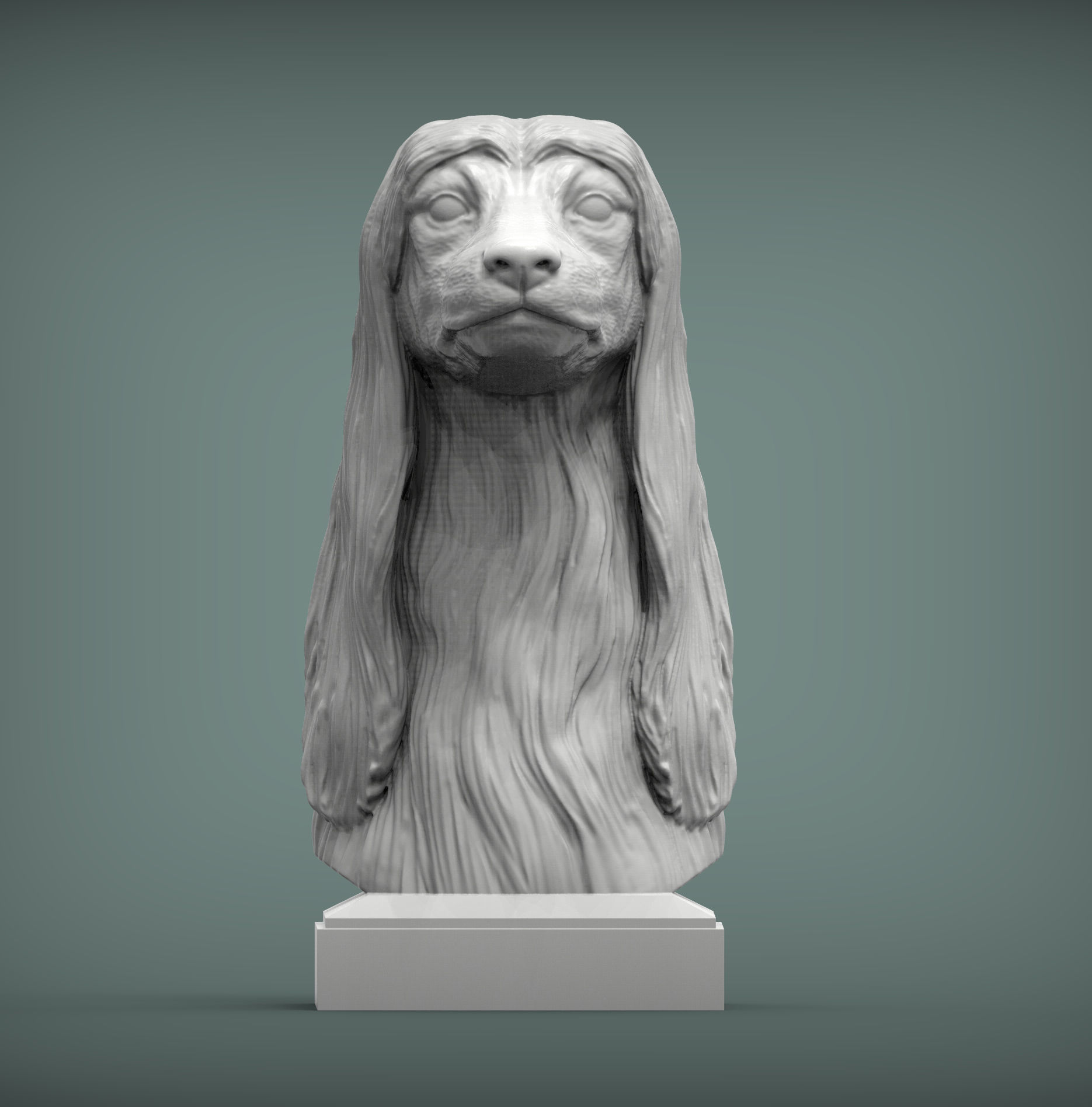 Afghan hound bust 3D print model_2