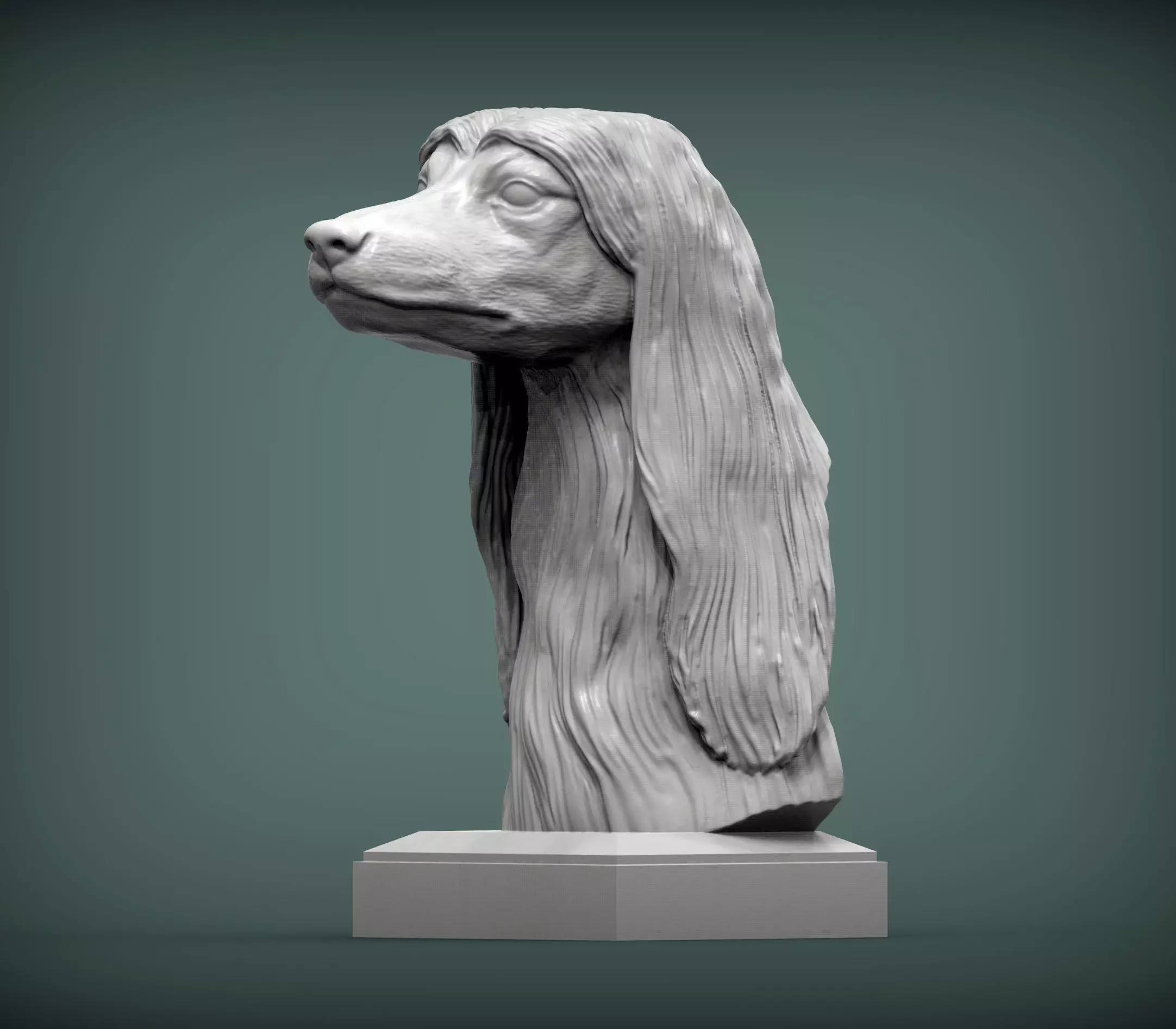 Afghan hound bust 3D print model_0