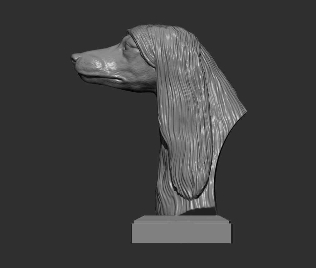 Afghan hound bust 3D print model_6