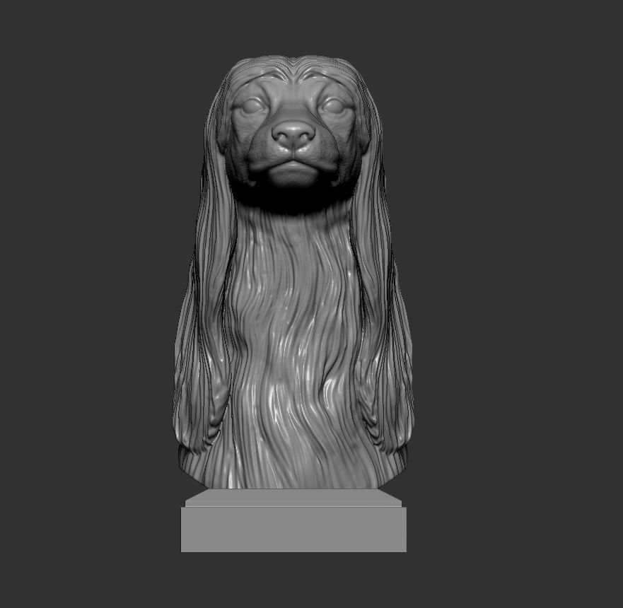 Afghan hound bust 3D print model_5