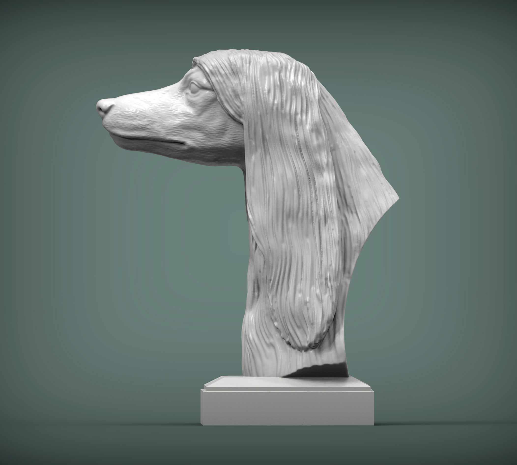 Afghan hound bust 3D print model_1