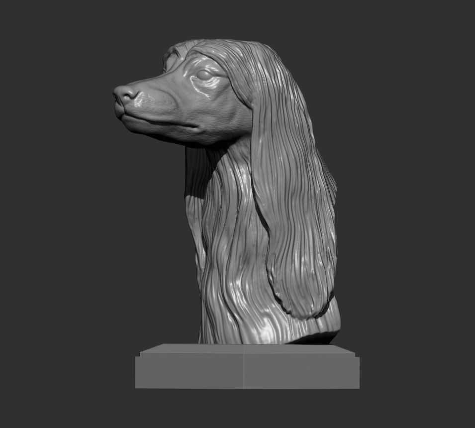 Afghan hound bust 3D print model_3