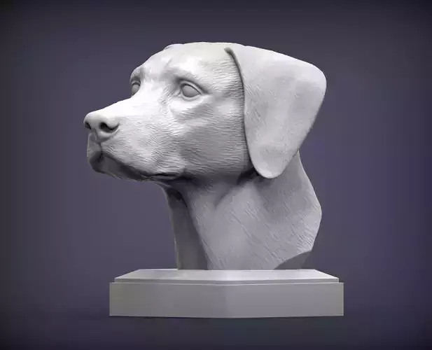 Dalmatian bust 3D print model