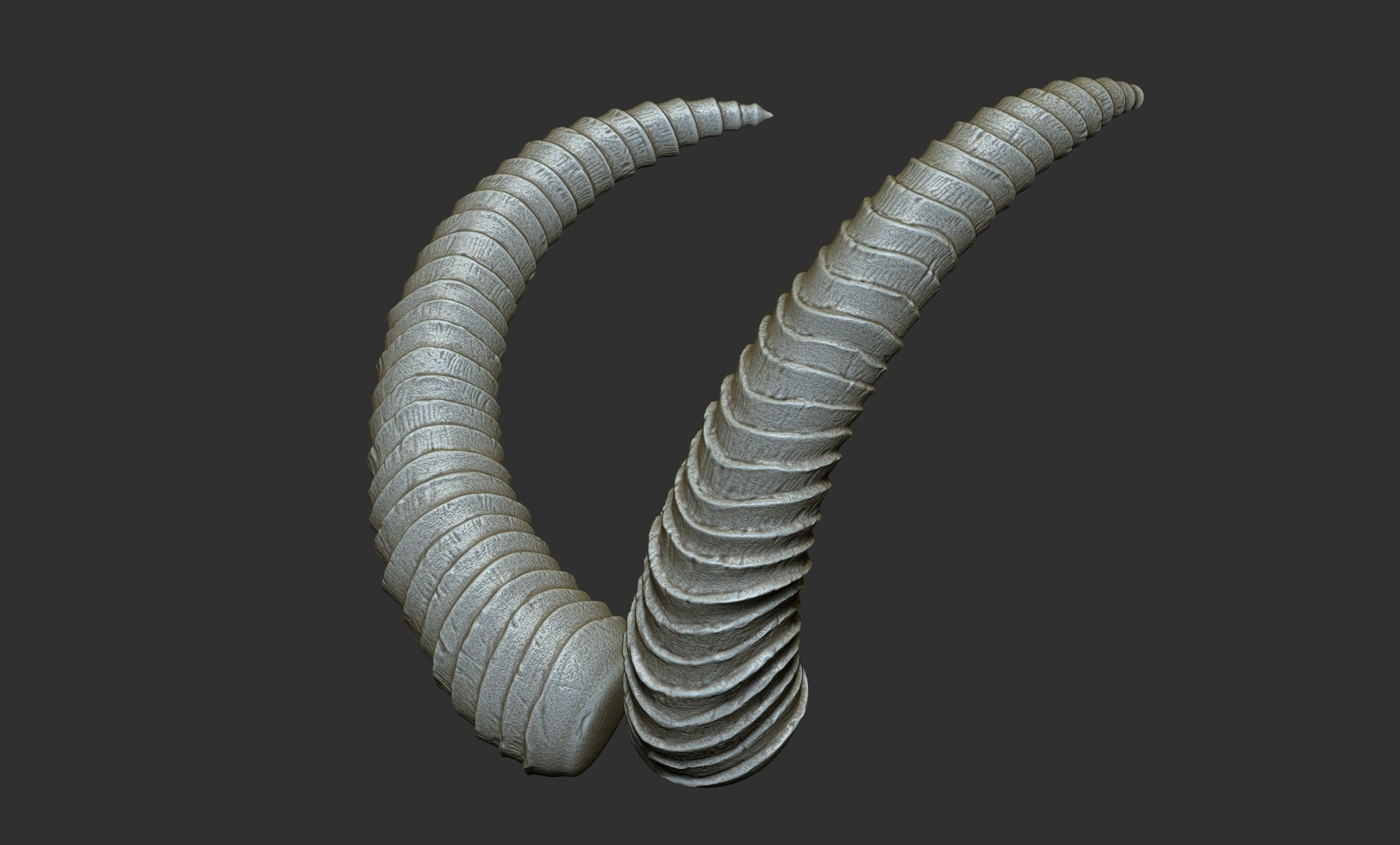 24  Creature Monster Demon Horns 3D model_44