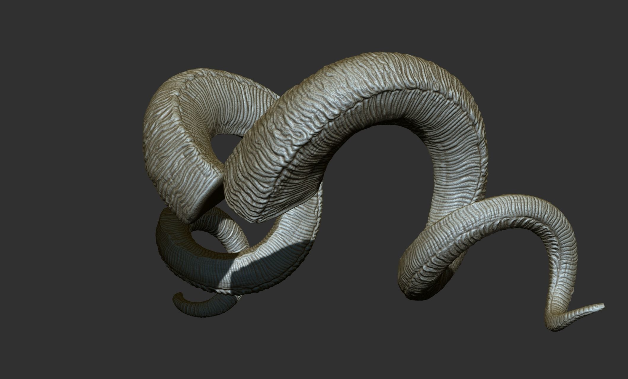 24  Creature Monster Demon Horns 3D model_53