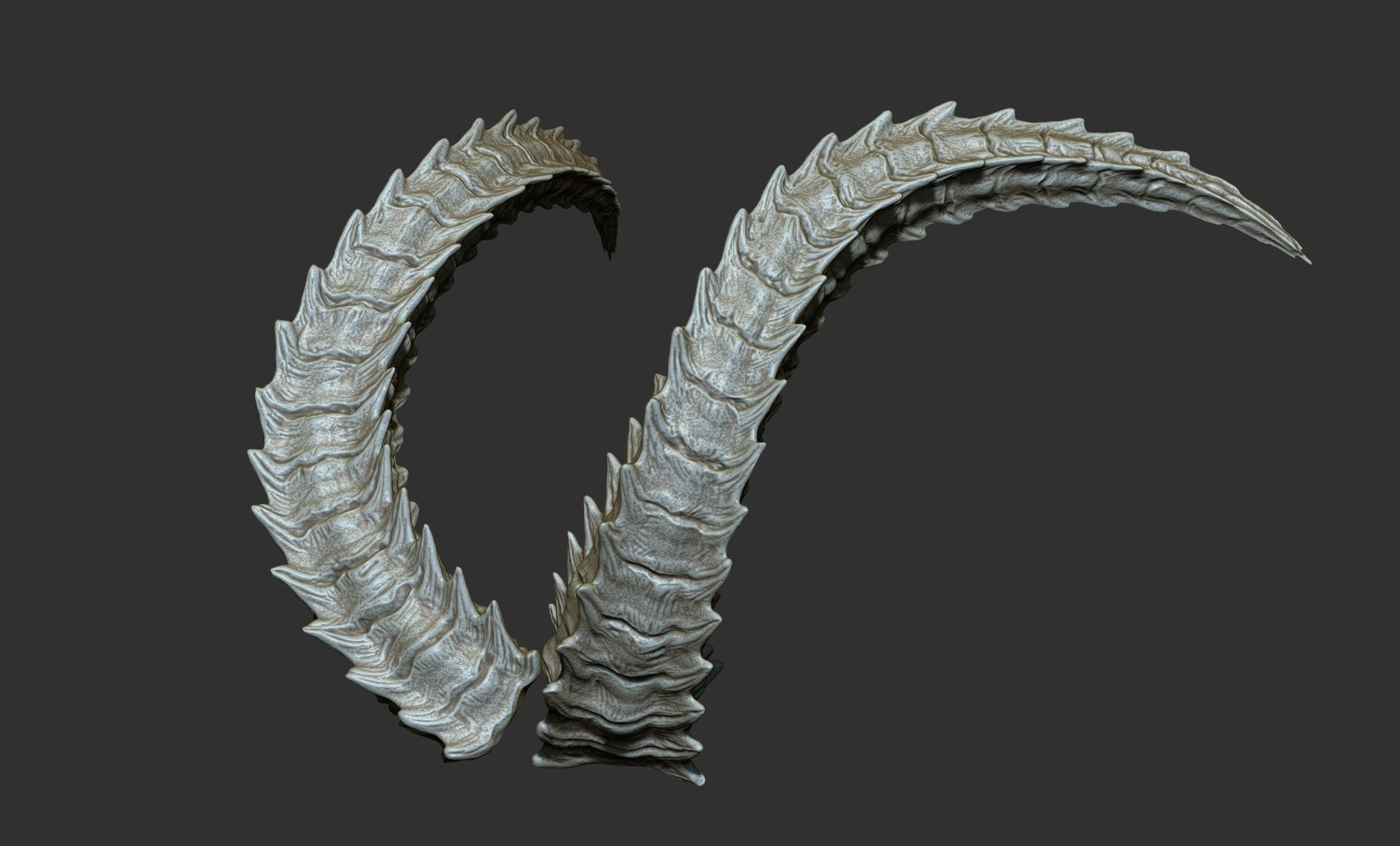24  Creature Monster Demon Horns 3D model_47