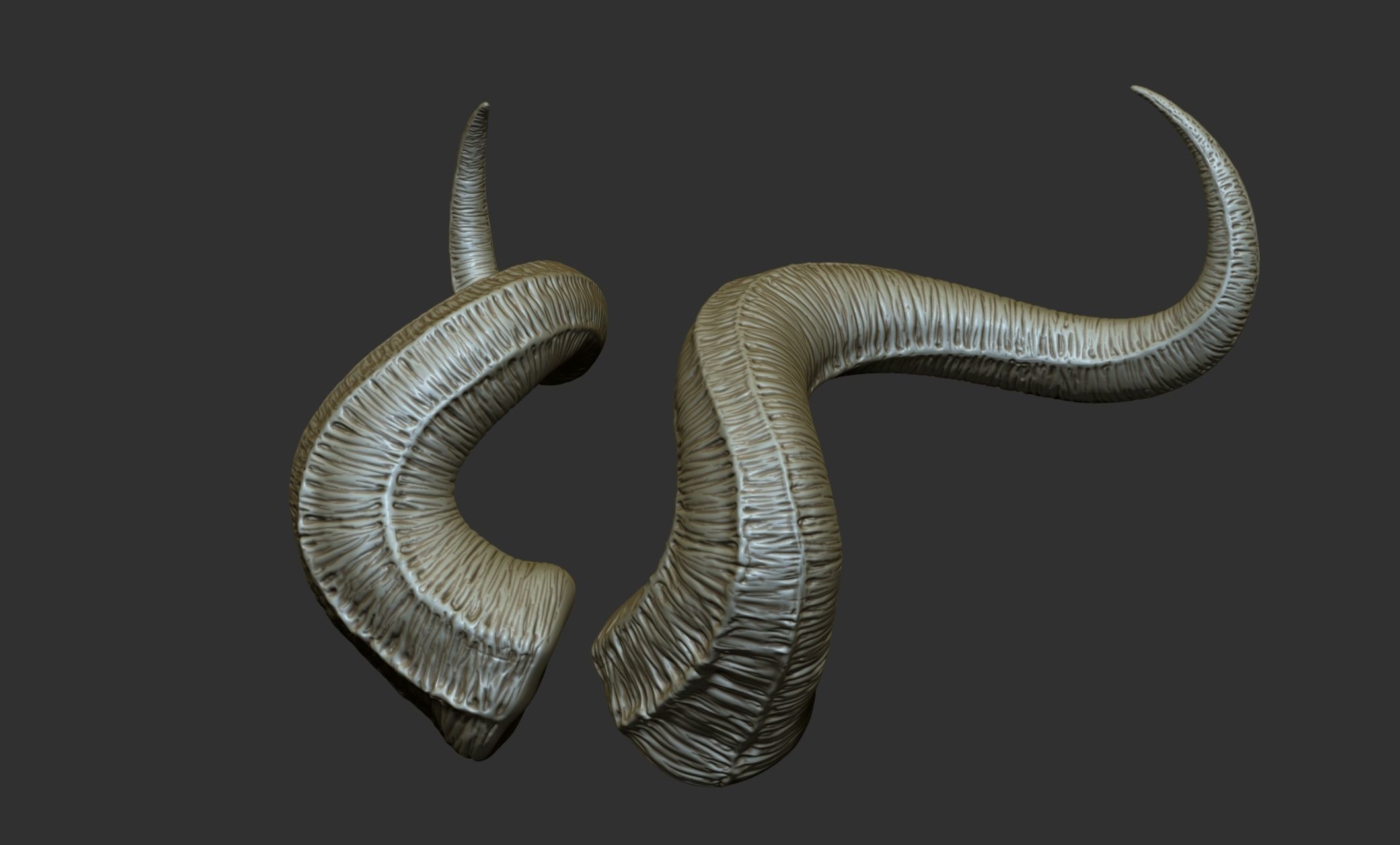 24  Creature Monster Demon Horns 3D model_22