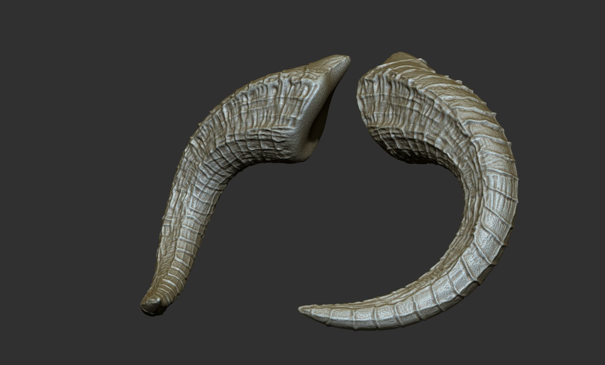 24  Creature Monster Demon Horns 3D model_14