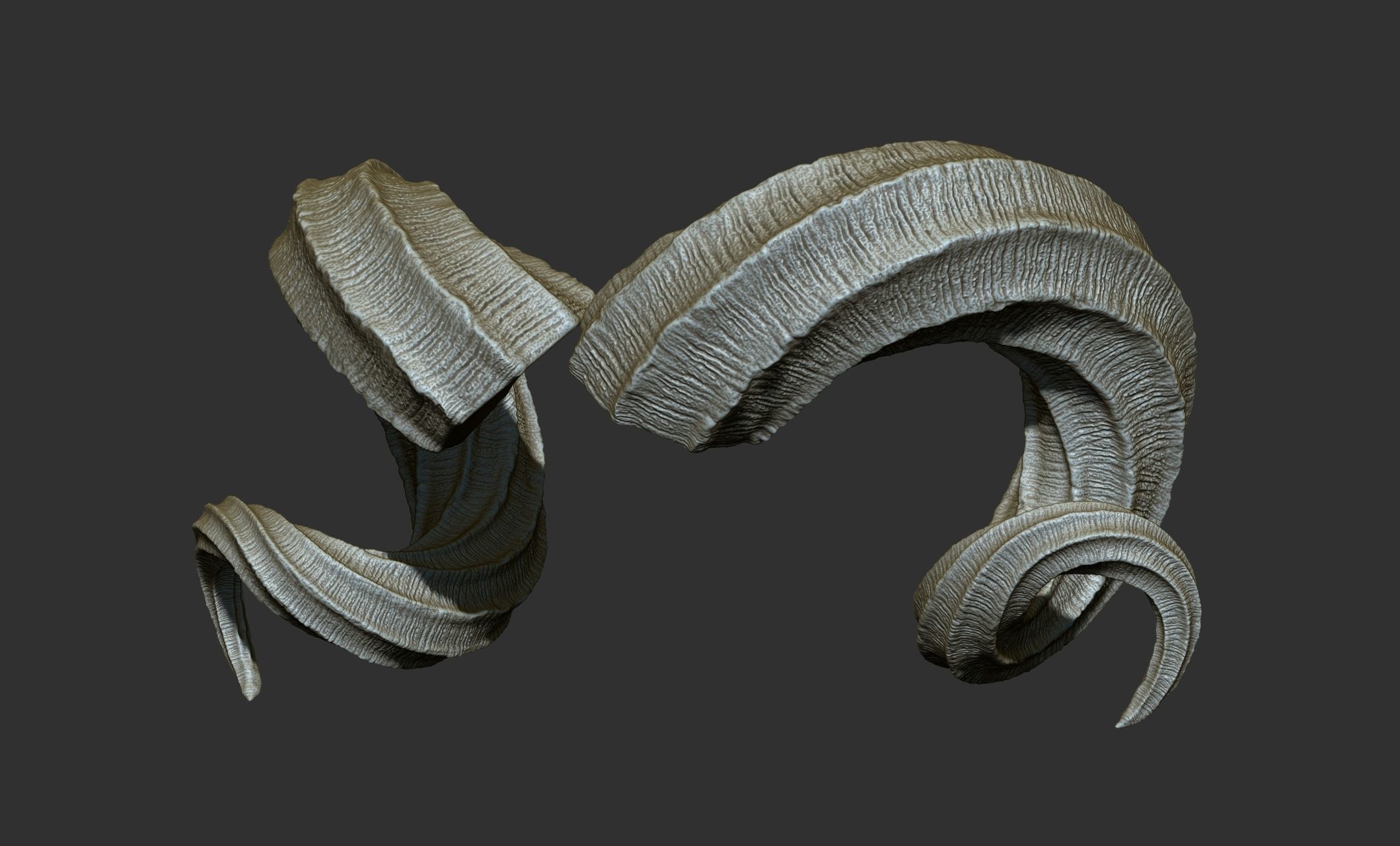 24  Creature Monster Demon Horns 3D model_6