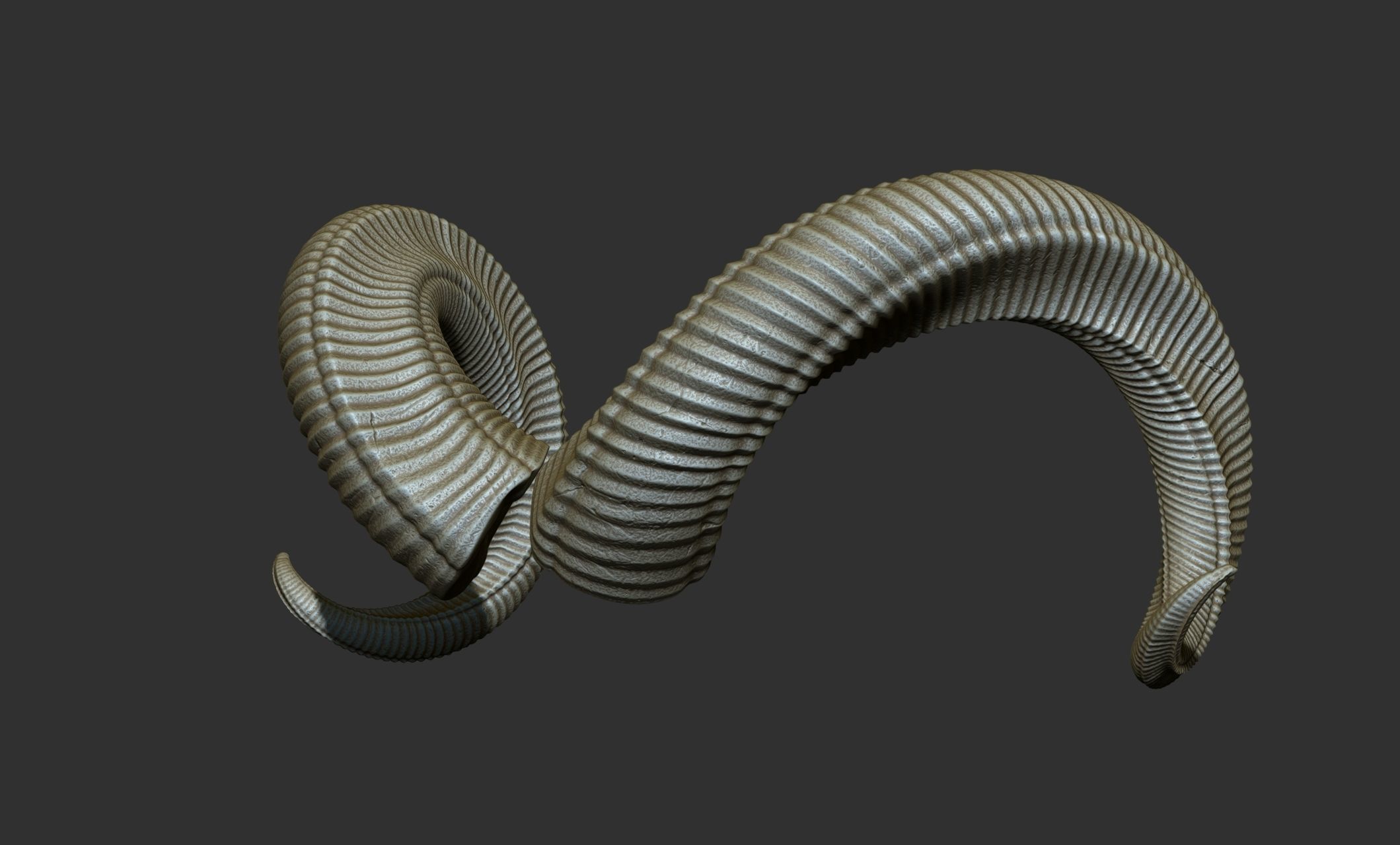 24  Creature Monster Demon Horns 3D model_57
