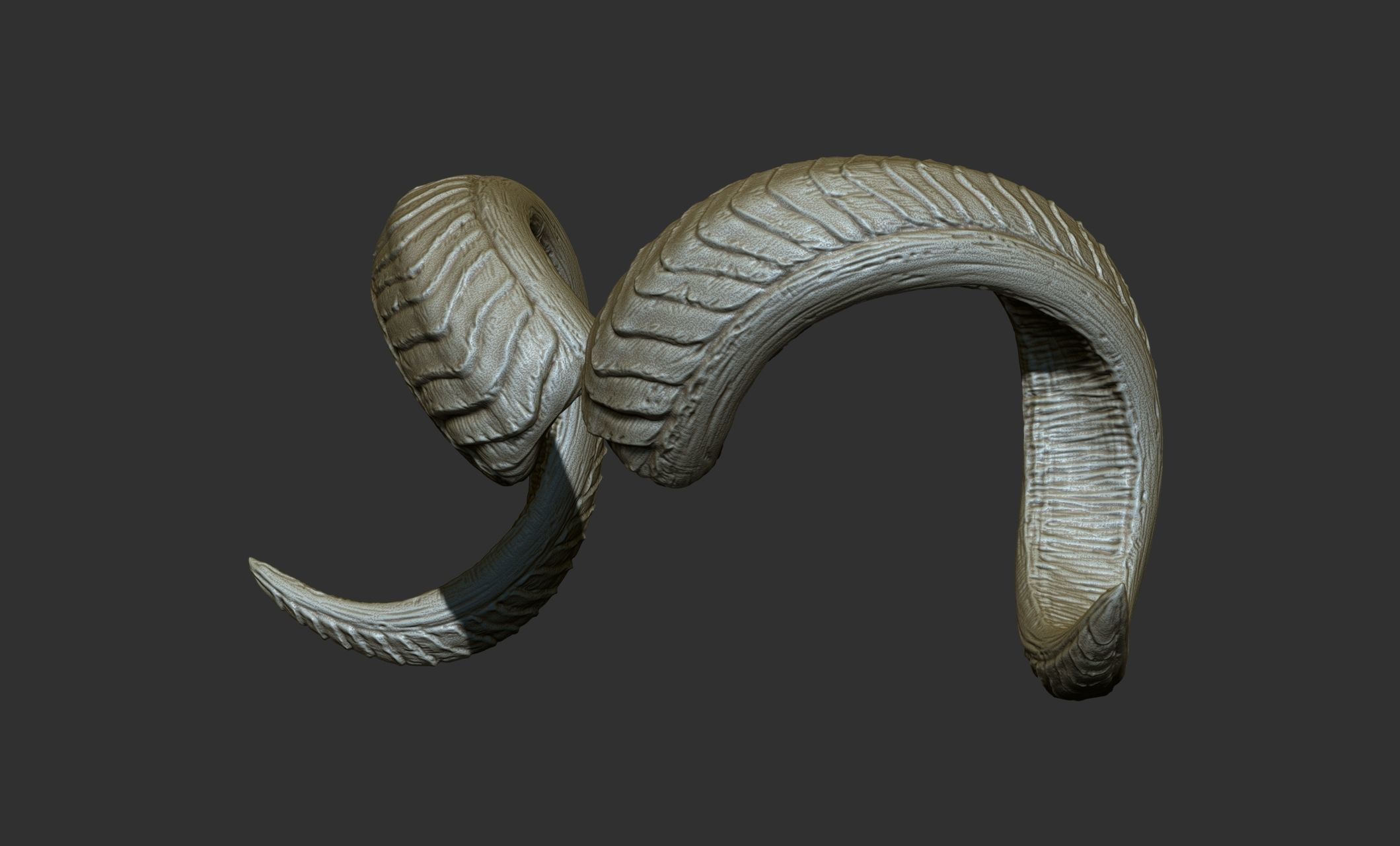 24  Creature Monster Demon Horns 3D model_35