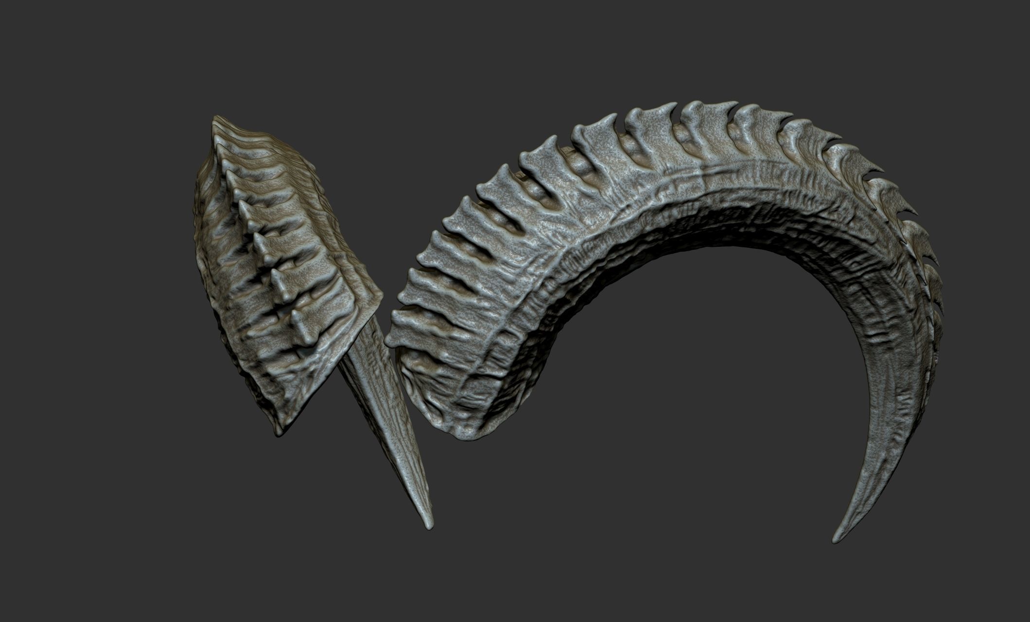 24  Creature Monster Demon Horns 3D model_10