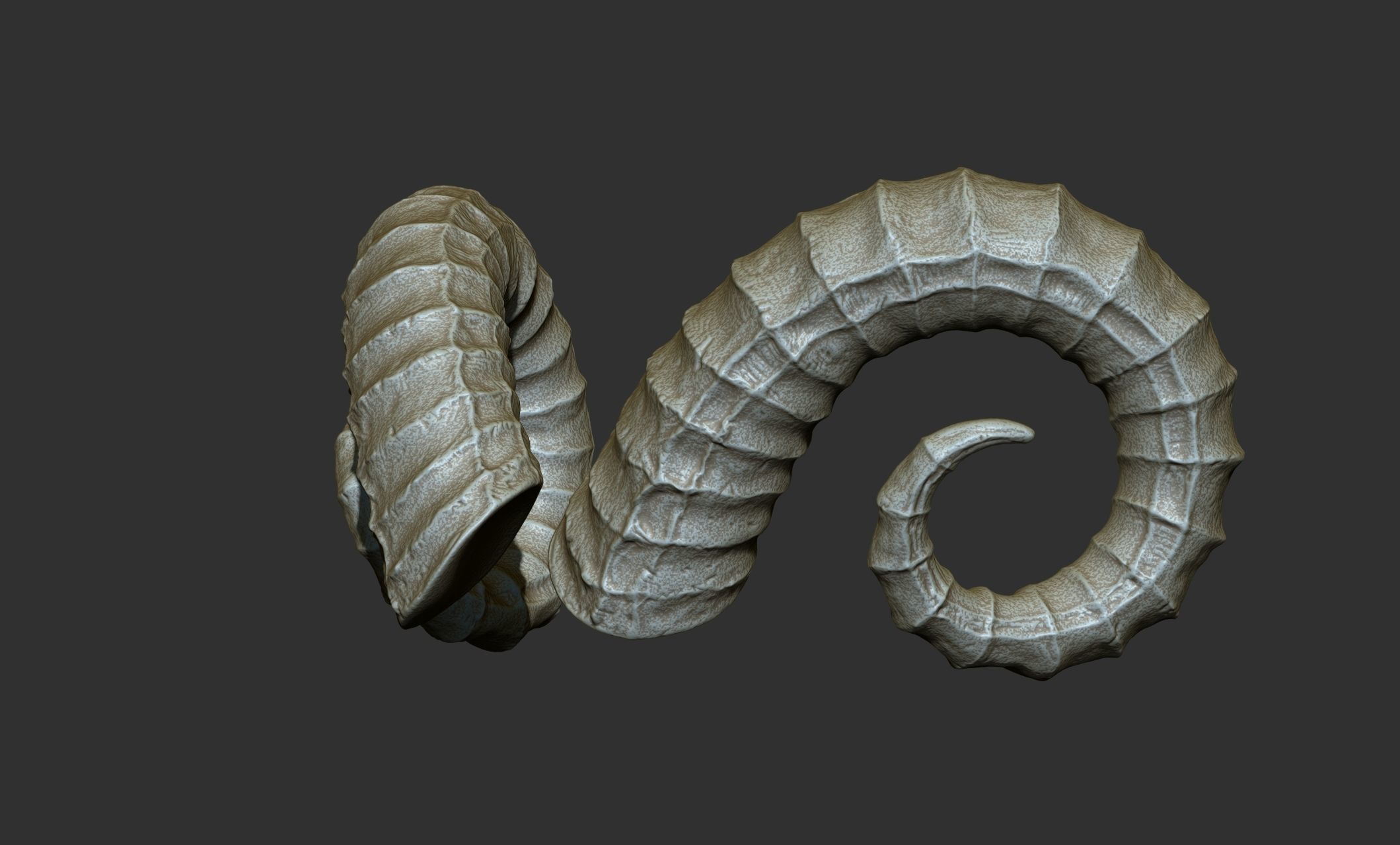 24  Creature Monster Demon Horns 3D model_31