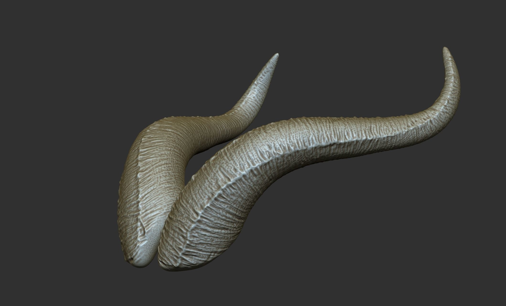 24  Creature Monster Demon Horns 3D model_72