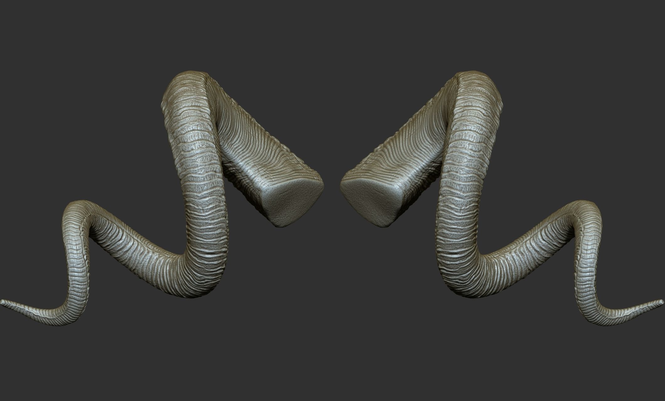 24  Creature Monster Demon Horns 3D model_54