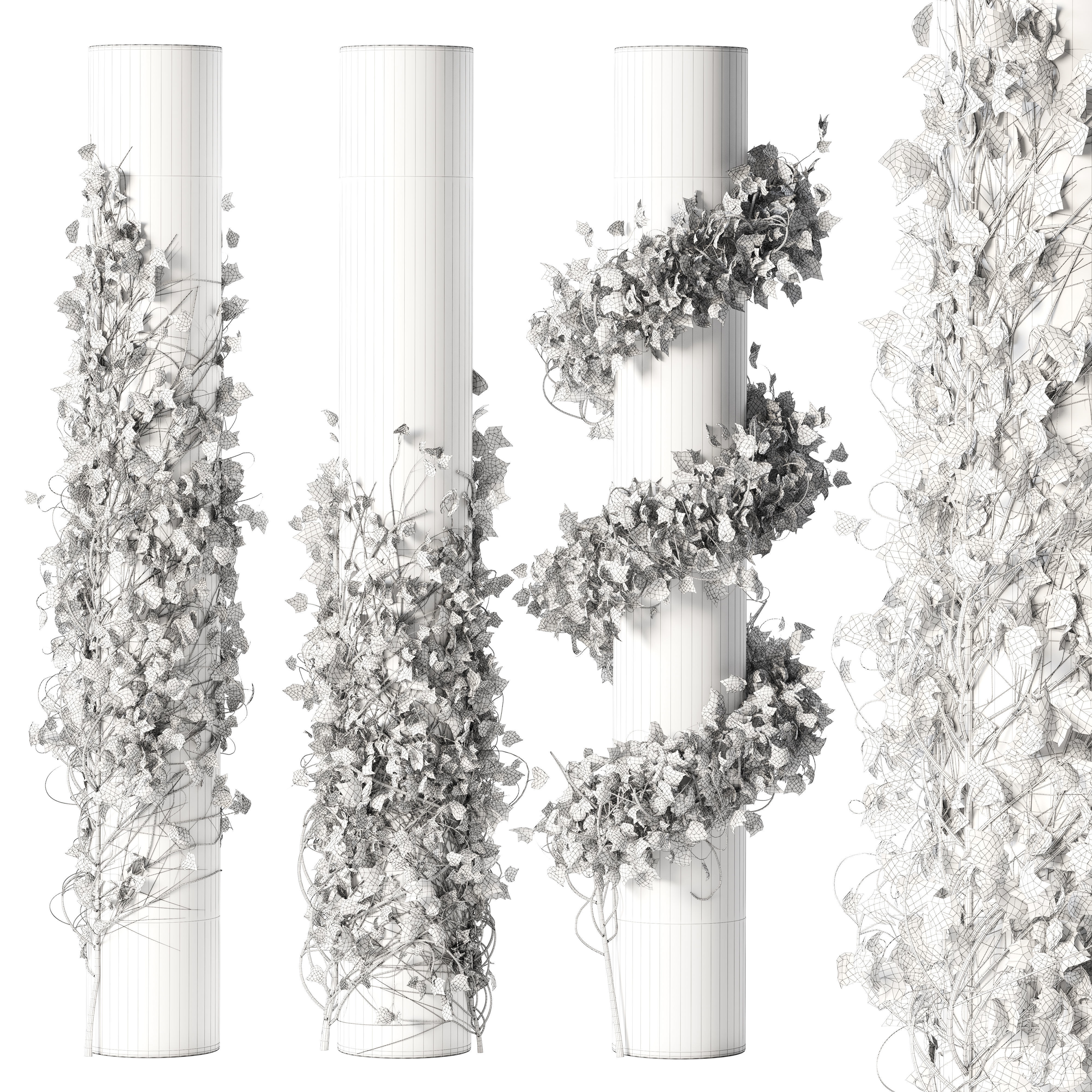 Ivy Plant Set 01 3D model_1