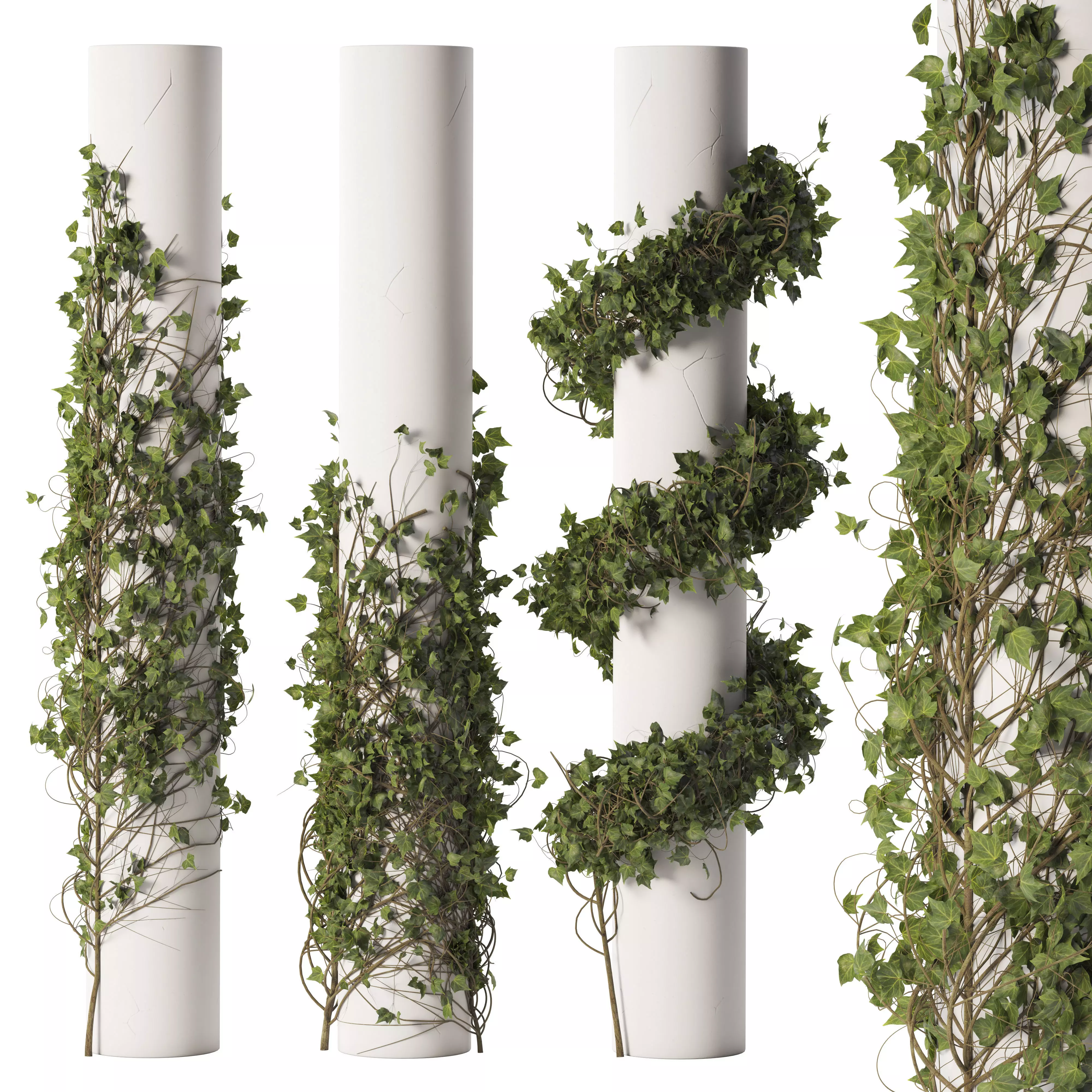 Ivy Plant Set 01 3D model_0