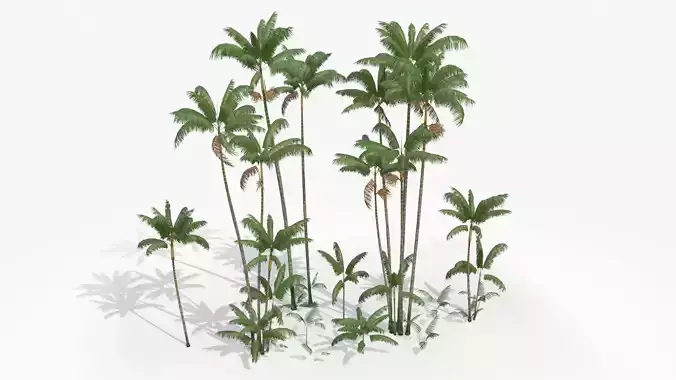 Modular Assai Palm Trees - Euterpe oleracea Low-poly 3D model