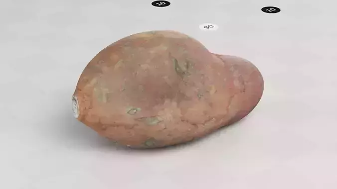 Sweet potato - Photogrammetry Scan
