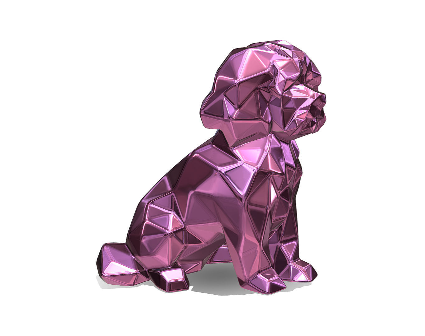 Maltese dog 3D print model_6