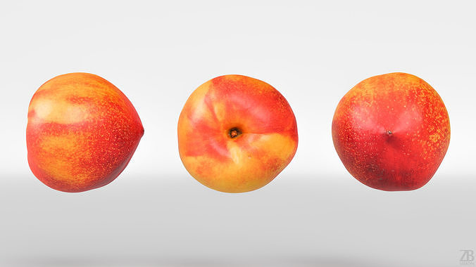 Nectarine 3D model 5