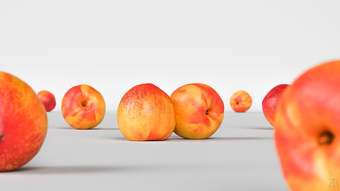 Nectarine 3D model 2