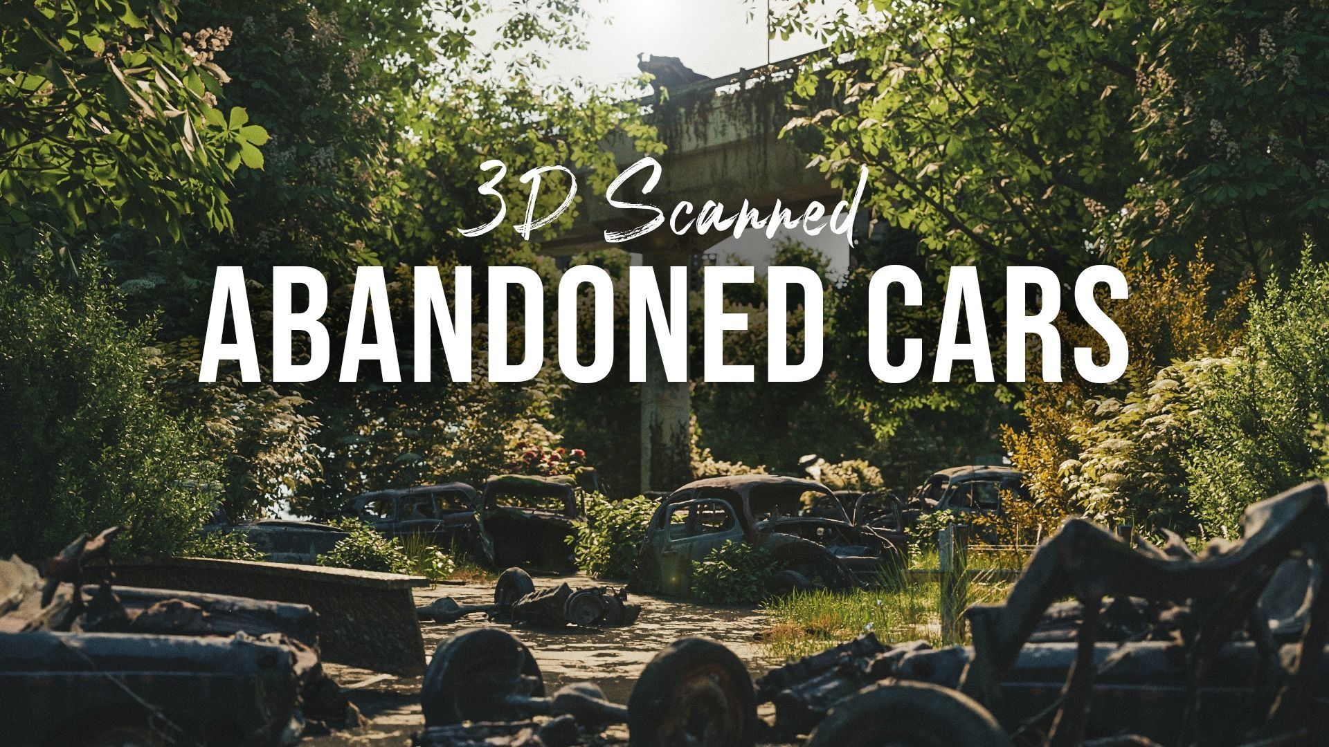 3D Scanned abandoned cars 3D model_3