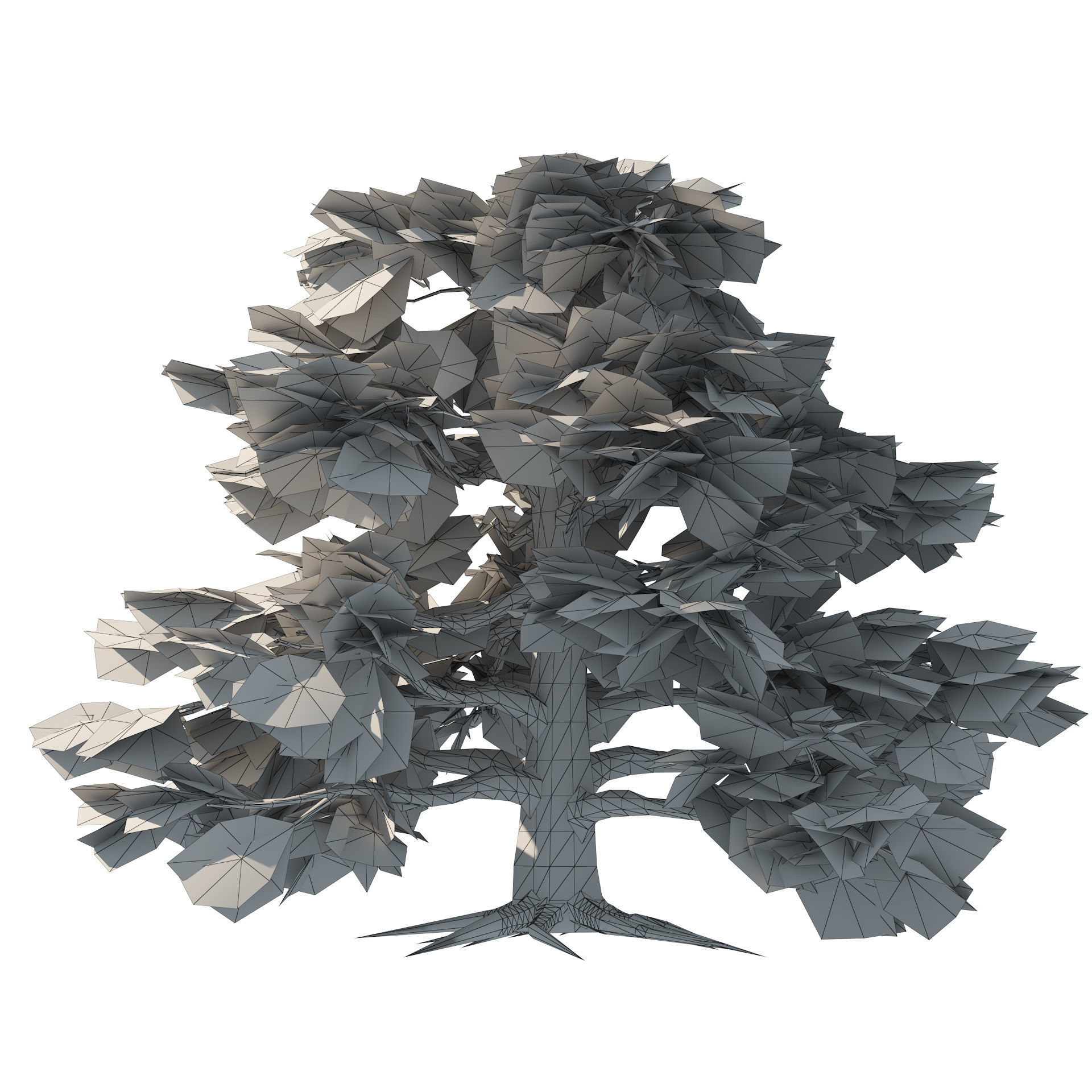 Fall and green broadleaves beech trees 3d model Low-poly 3D model_6