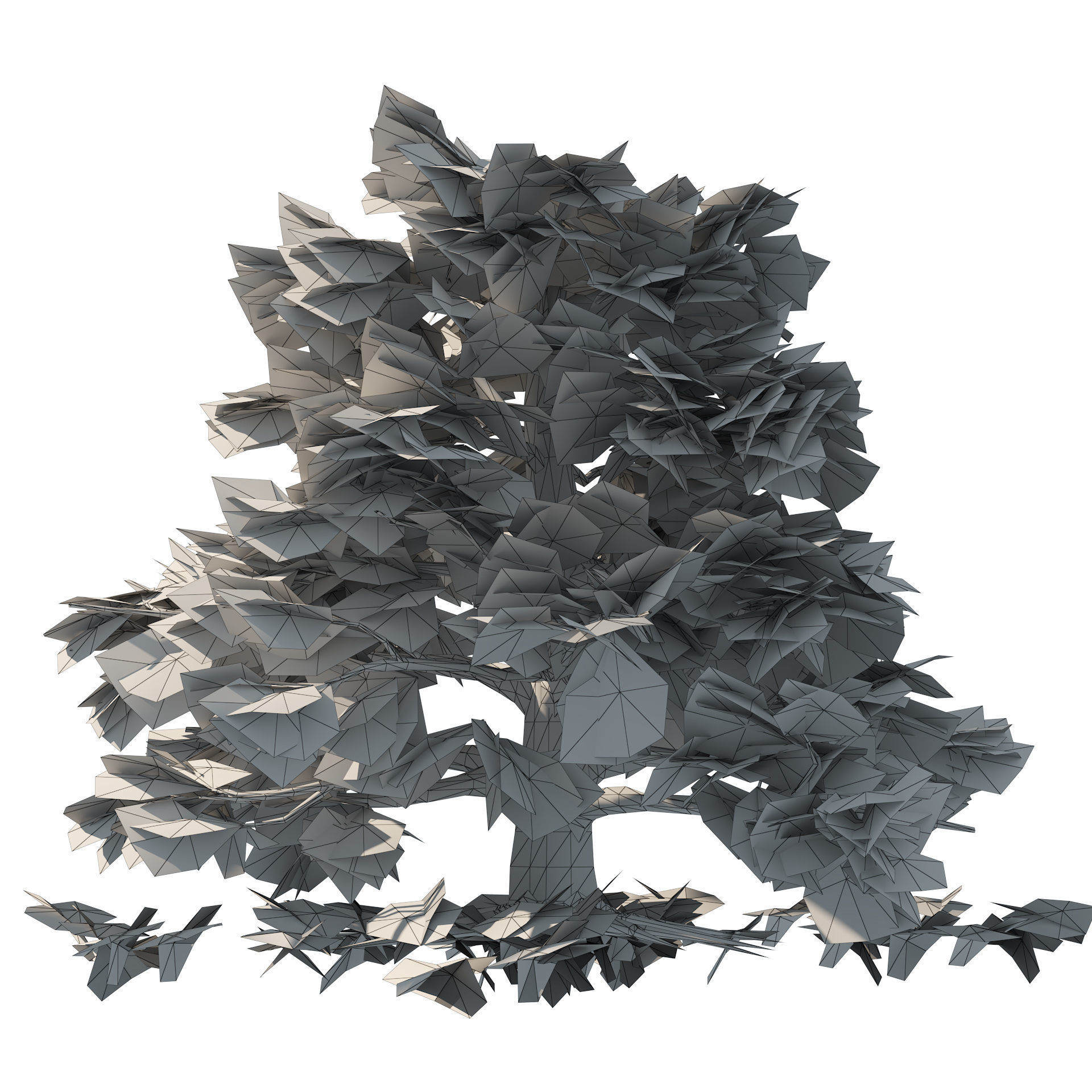 Fall and green broadleaves beech trees 3d model Low-poly 3D model_7
