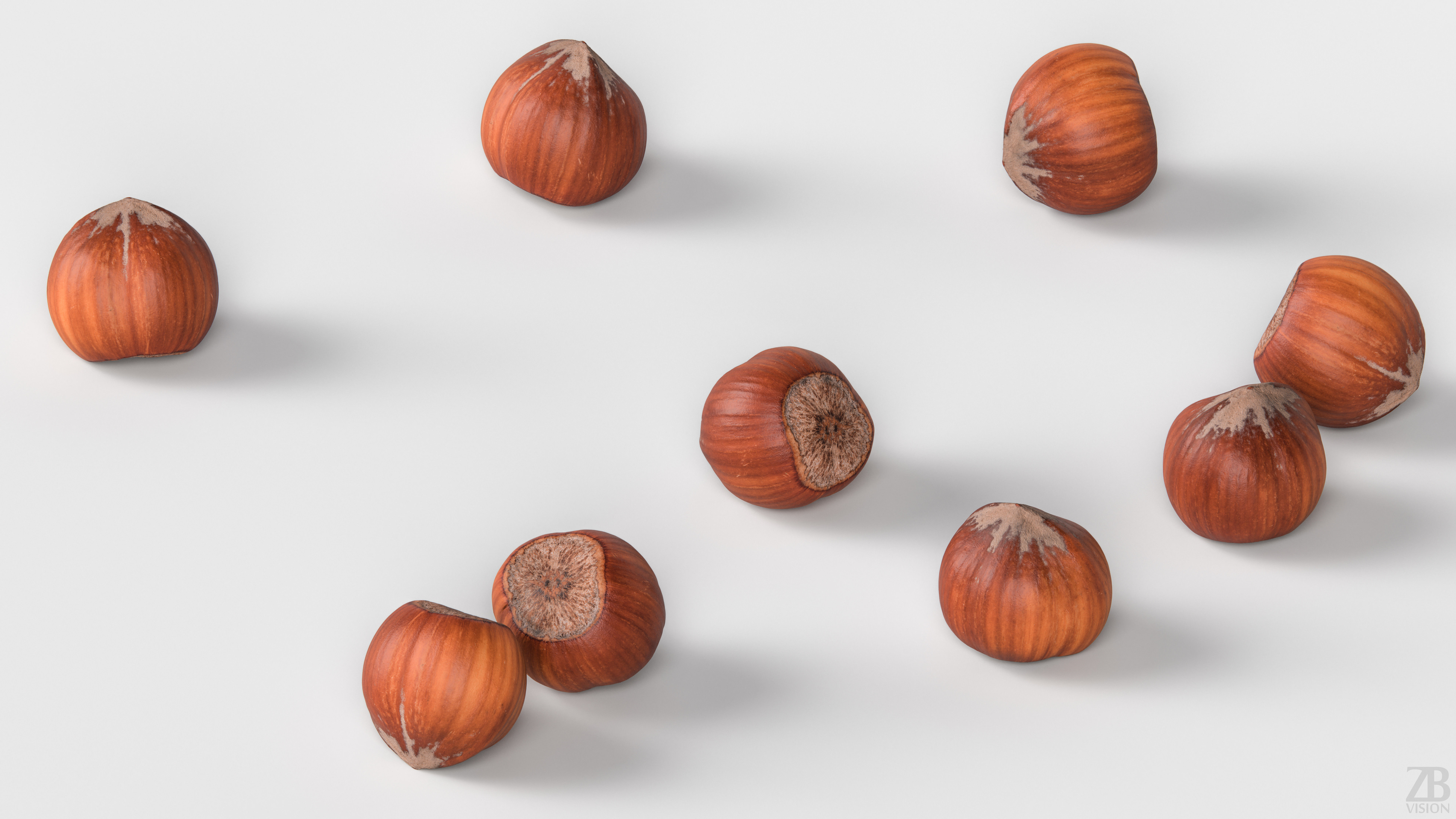Hazelnut 3D model_2