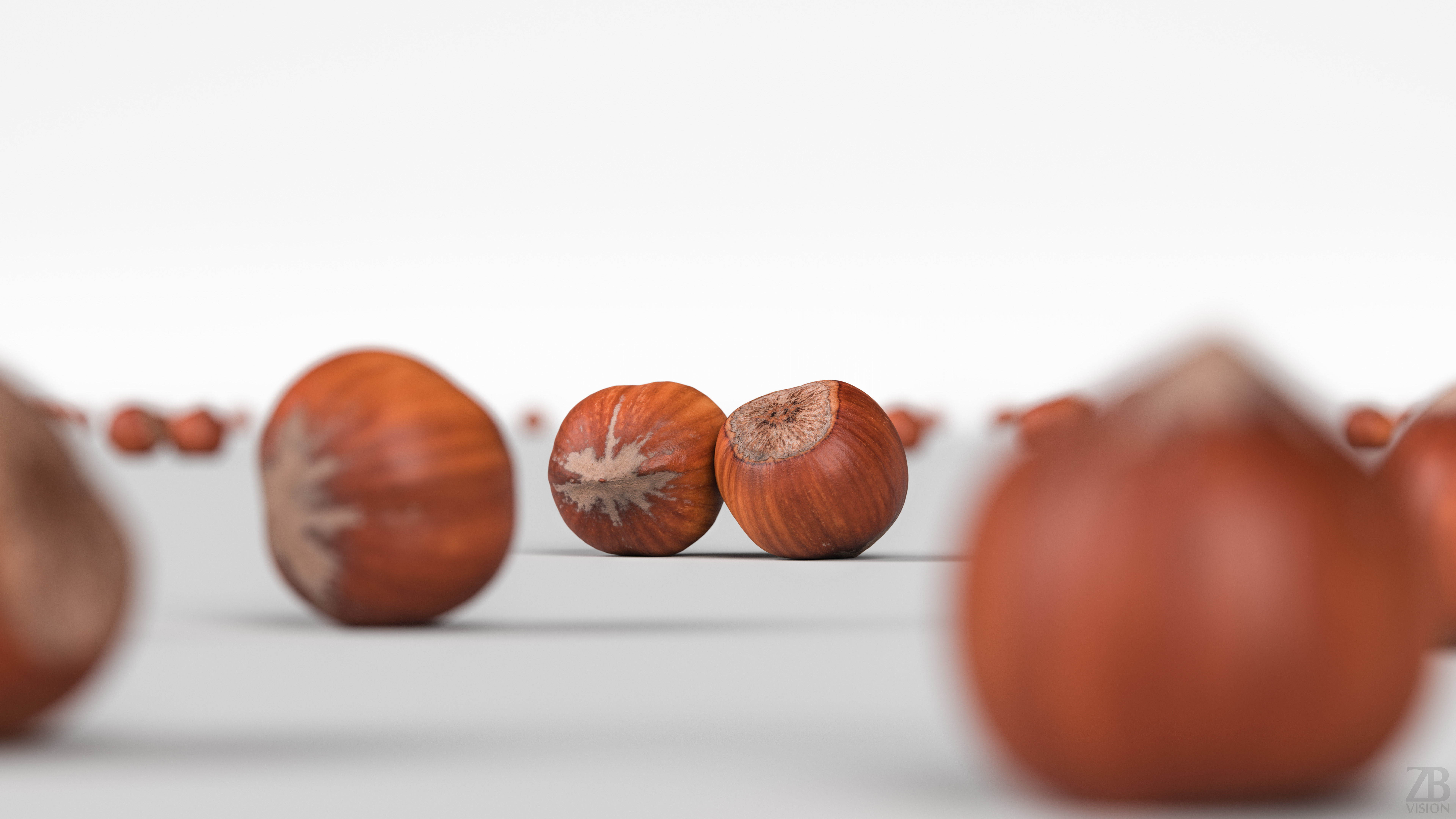 Hazelnut 3D model_1