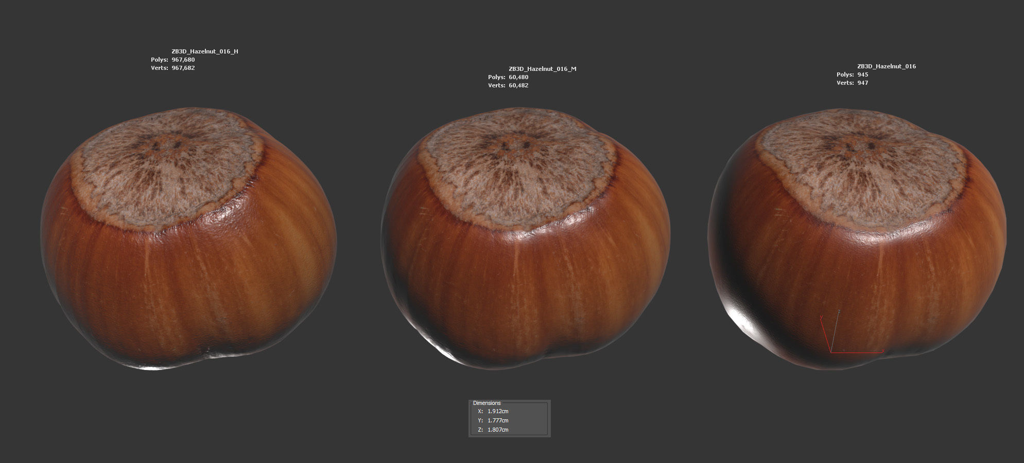 Hazelnut 3D model_5