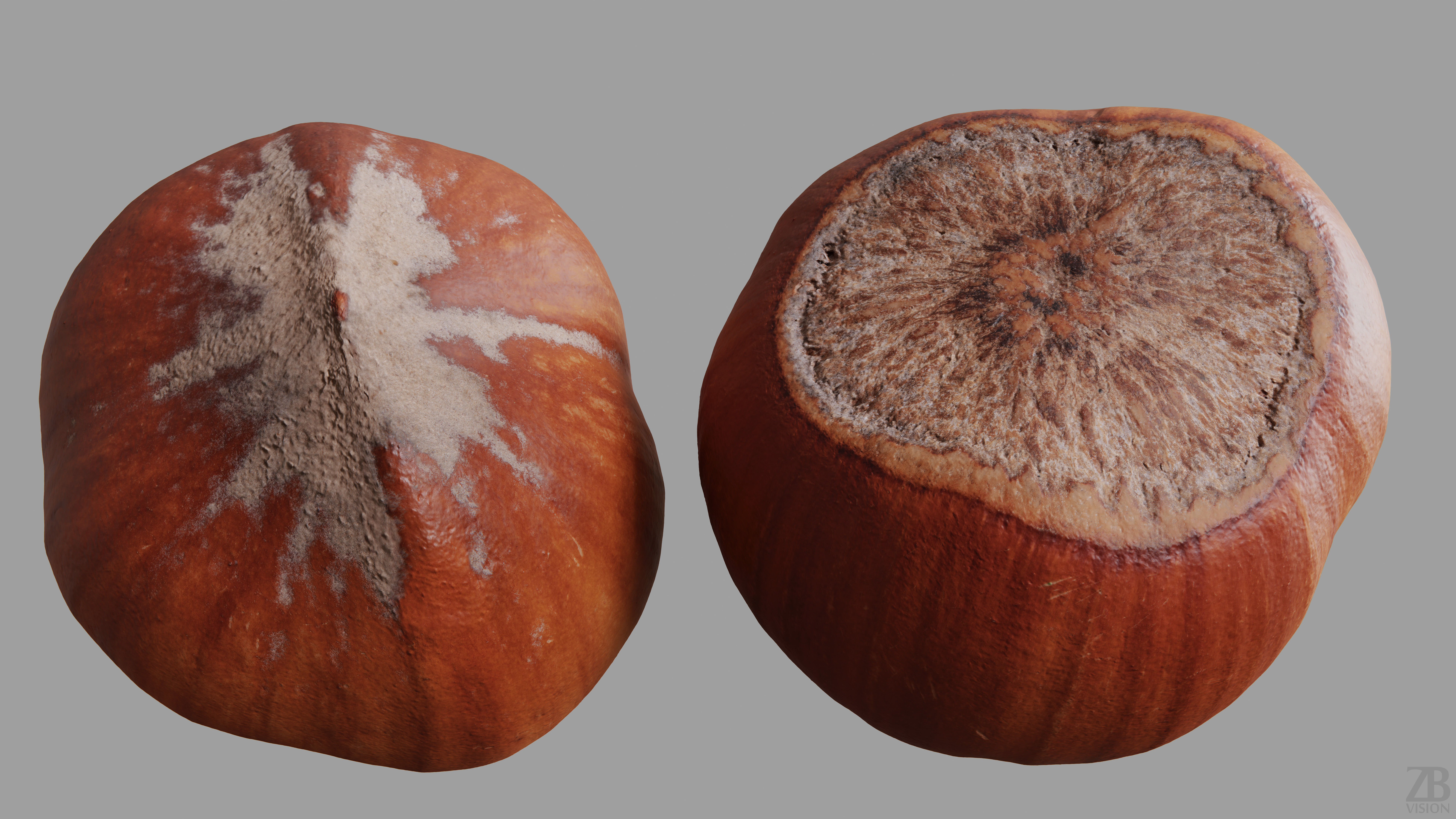 Hazelnut 3D model_9