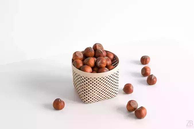 Hazelnut 3D model