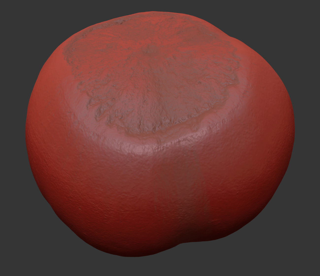Hazelnut 3D model_7
