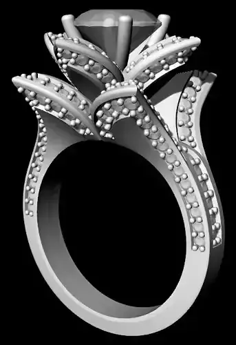 women ring 23