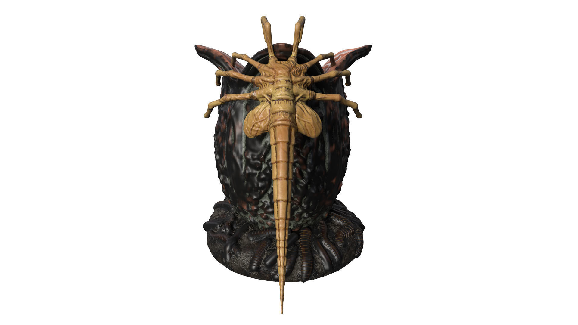 Facehugger 3D model_1