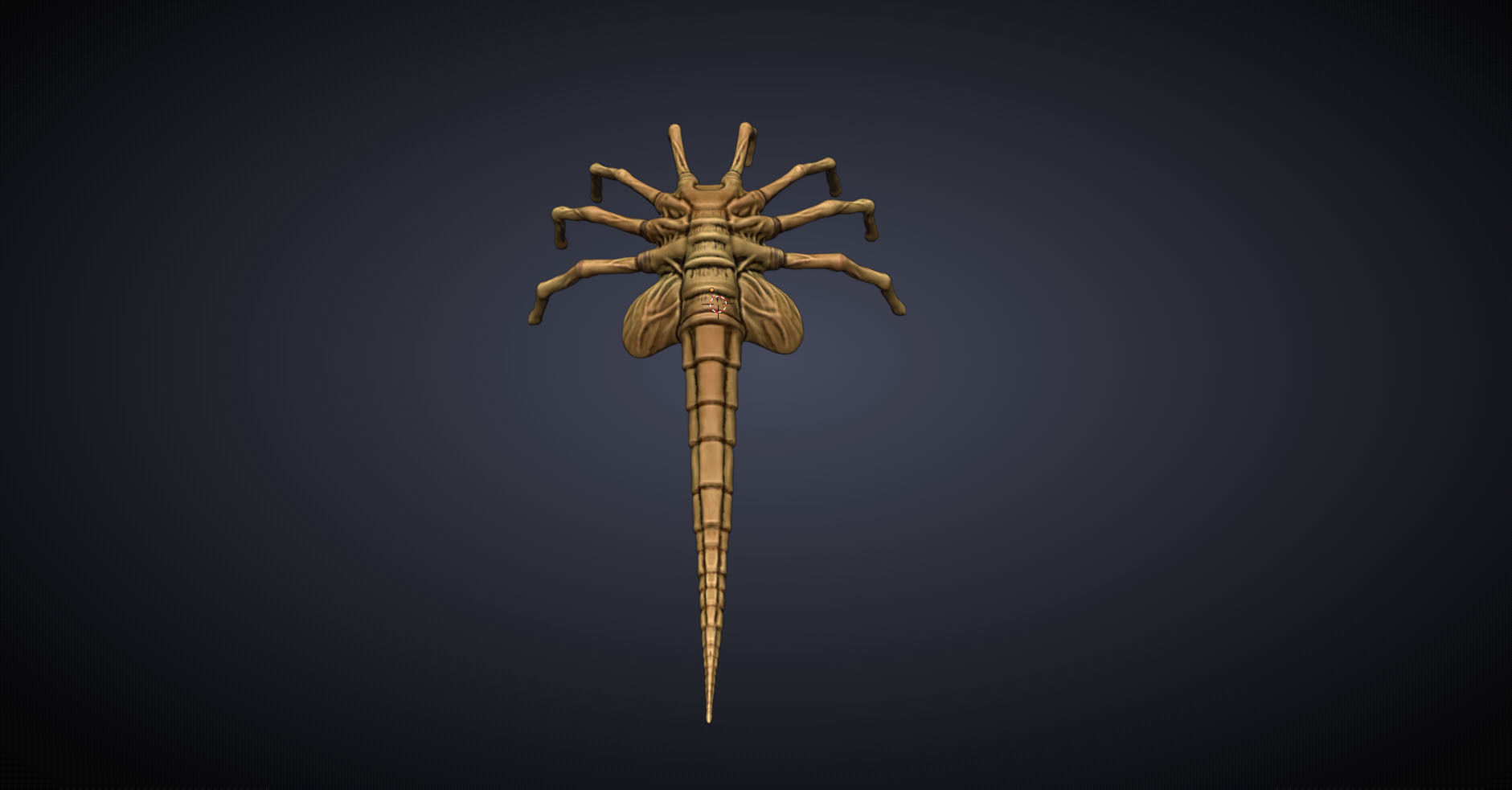 Facehugger 3D model_10
