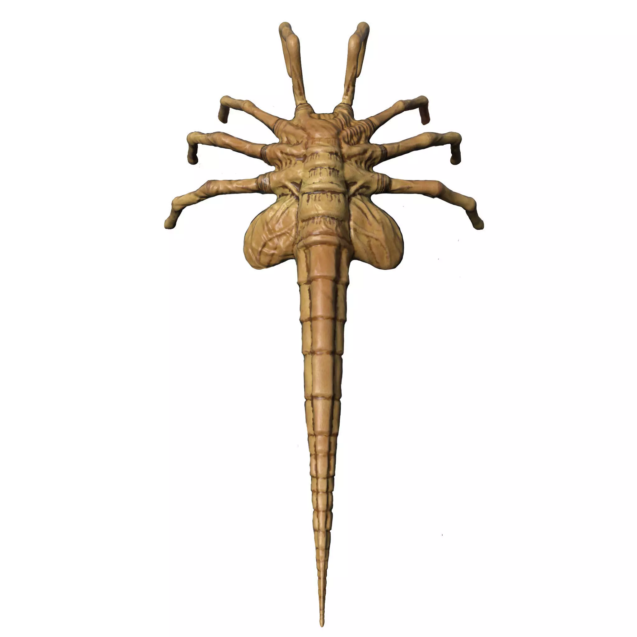 Facehugger 3D model_0
