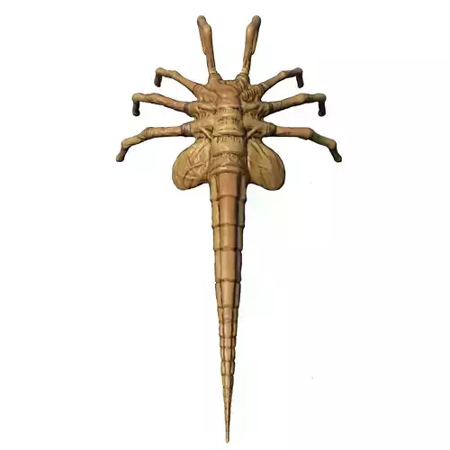 Facehugger 3D model