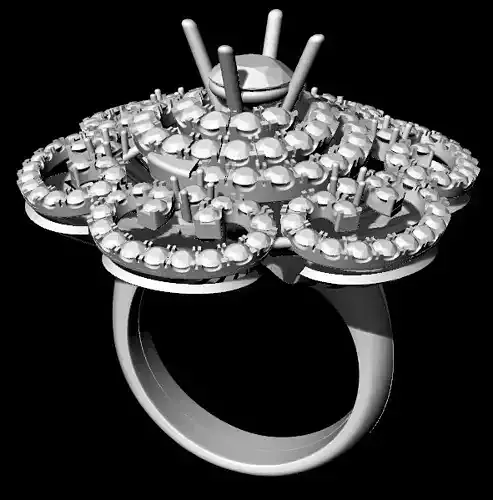 women ring 29