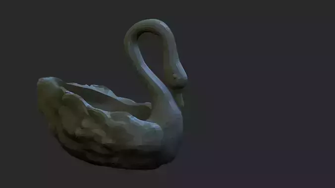 swan swan