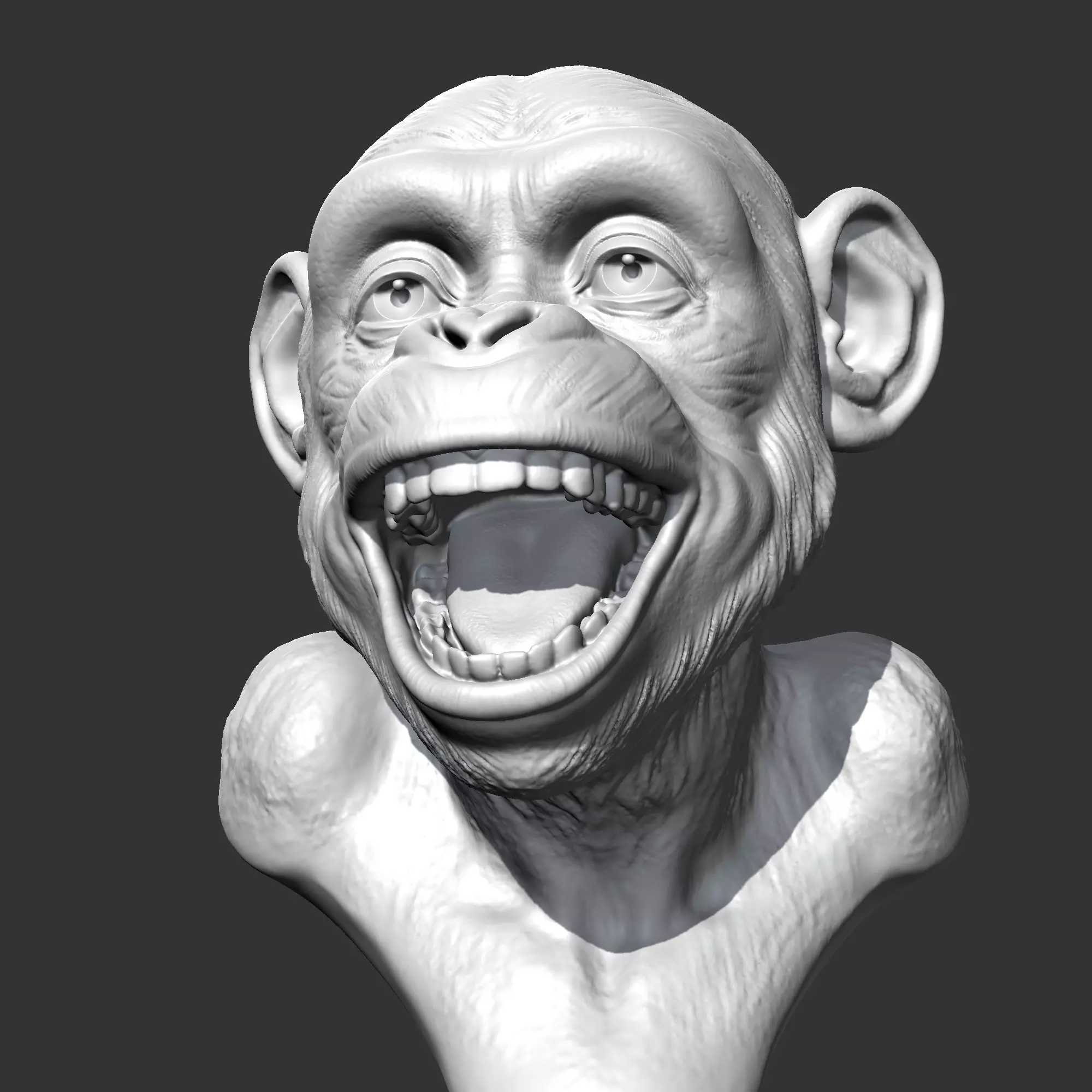 Chimp Head AM24 3D print model 3D print model
