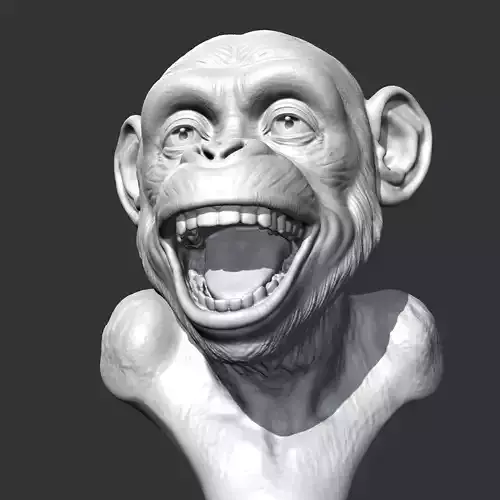 Chimp Head AM24 3D print model