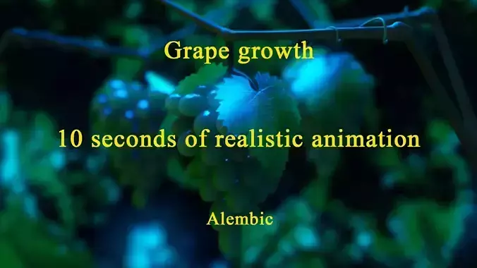 Grap Grow 3D model